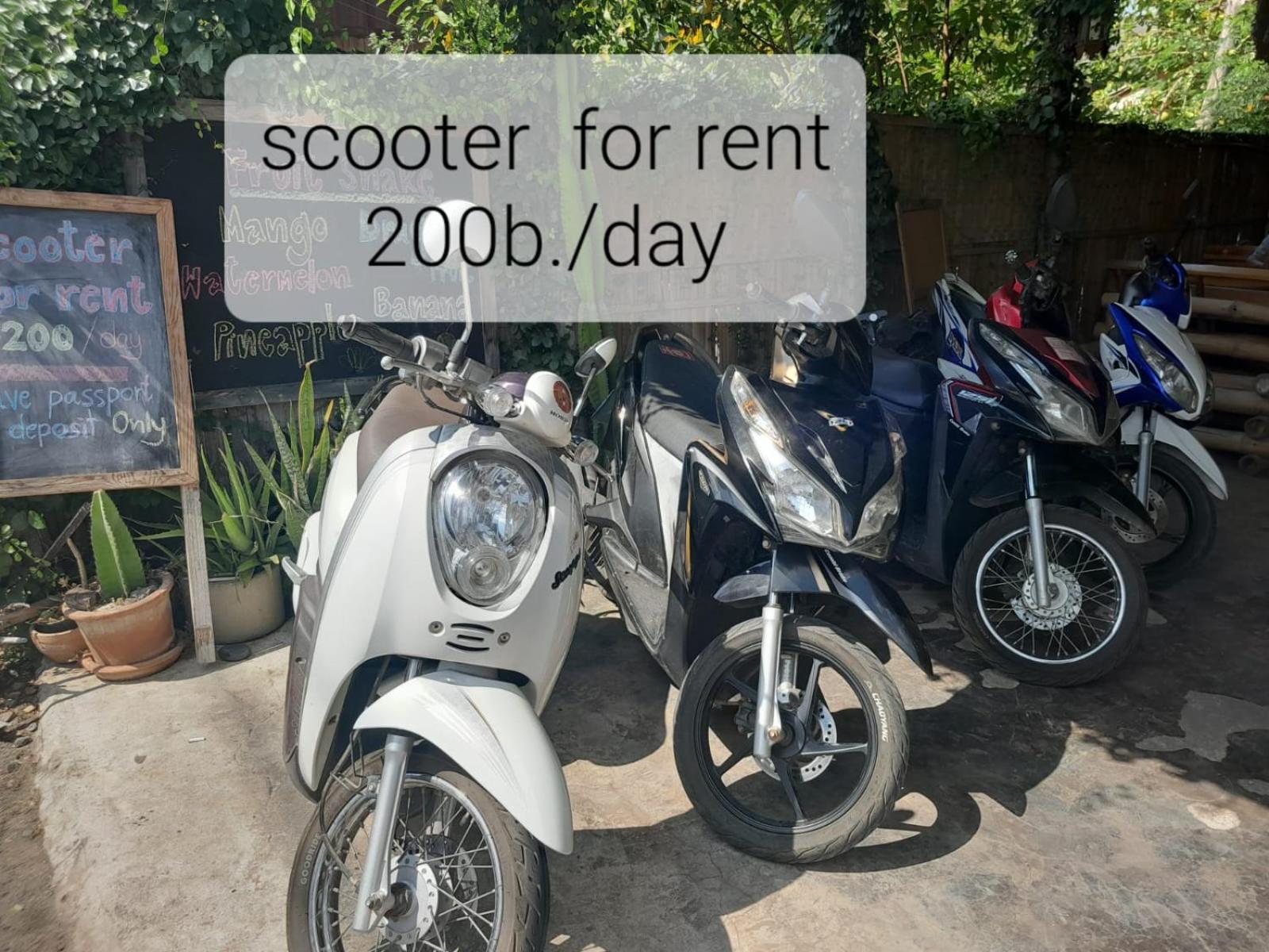 Sharky'S Hostel Pai Ngoại thất bức ảnh